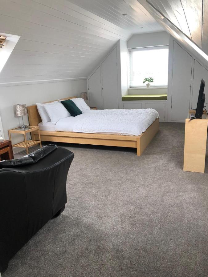 Apartment Adorable 1 Bedroom With Free Parking